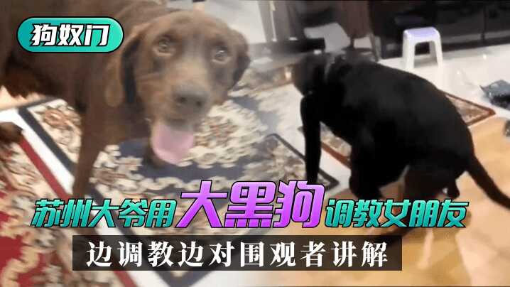 亚洲欧洲自拍拍偷精品,高潮喷水潮喷女王在线播放