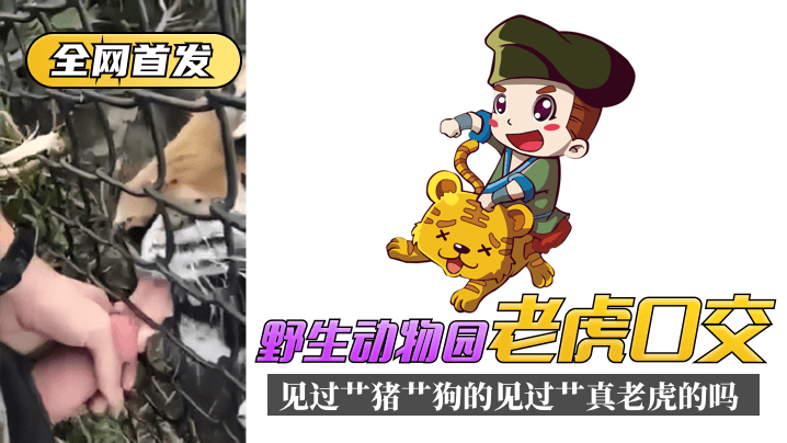 午夜免费在线无码观看,色丁香网