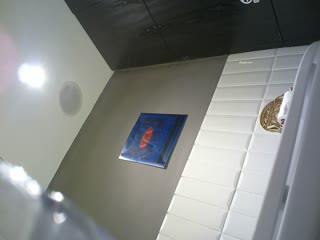 国产精品成人va在线观看下载,美女久久久久久久久久久
